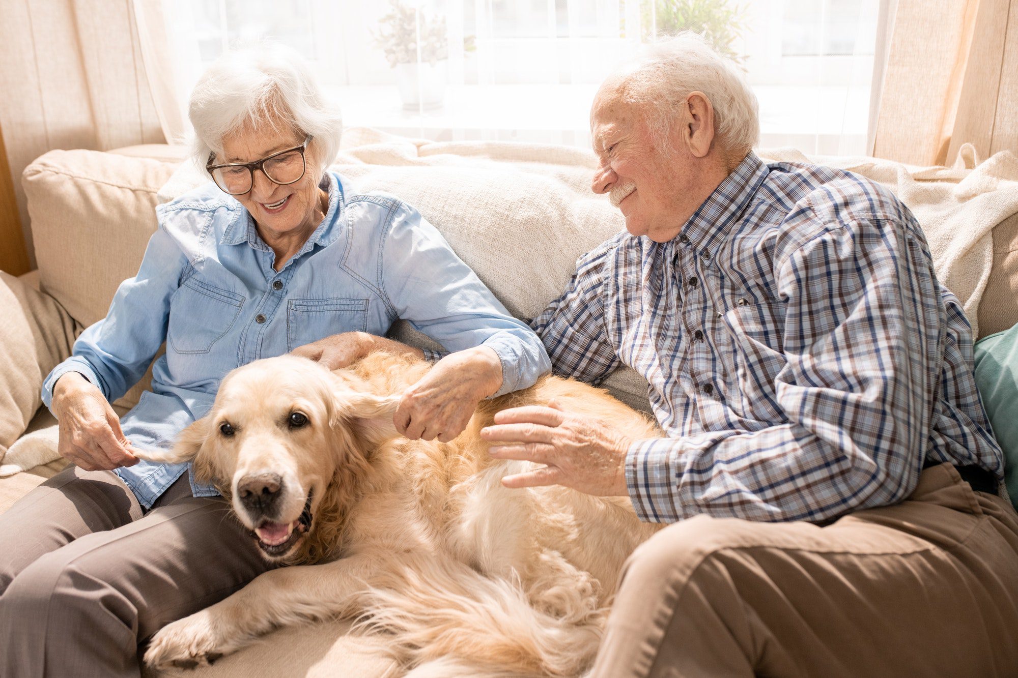 Happy senior couple sitting on couch with dog discussing their options for Medicare Advantage Plans.
